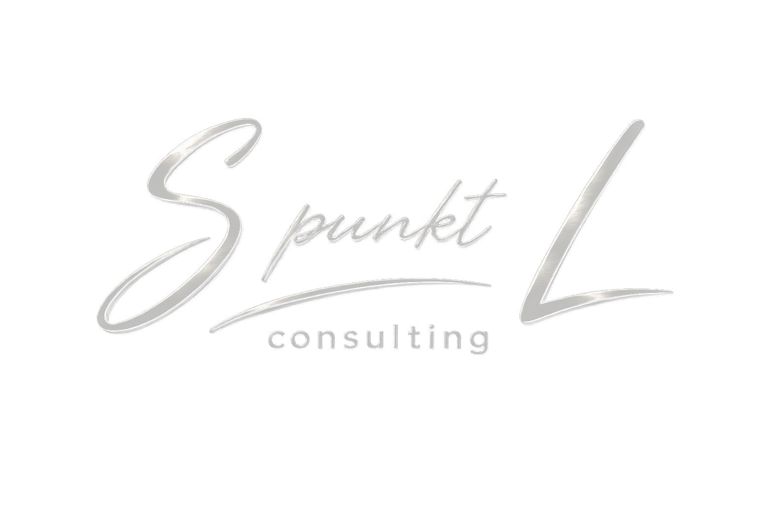 SpunktL Consulting
